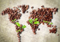 تأثیرات اجتماعی و اقتصادی قهوه